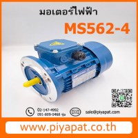 MS562-4 รูปโชว์